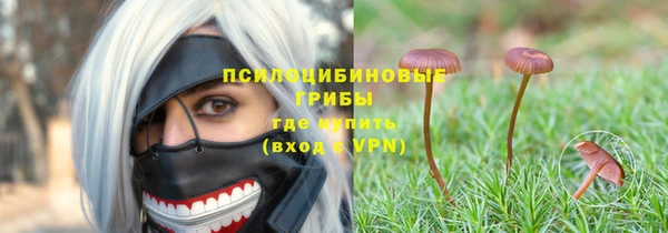 гидра Михайловск