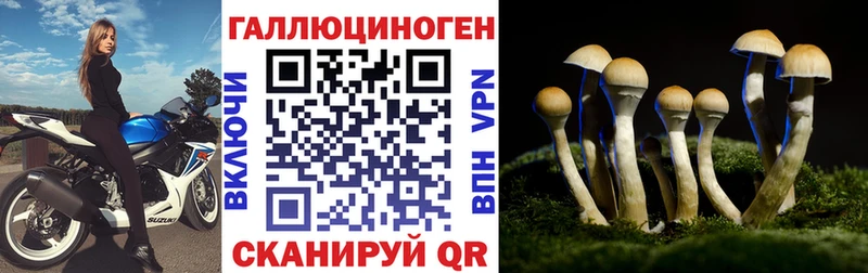 Псилоцибиновые грибы Cubensis Учалы