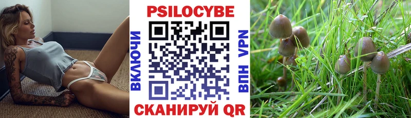 Галлюциногенные грибы GOLDEN TEACHER  Купить  Учалы 